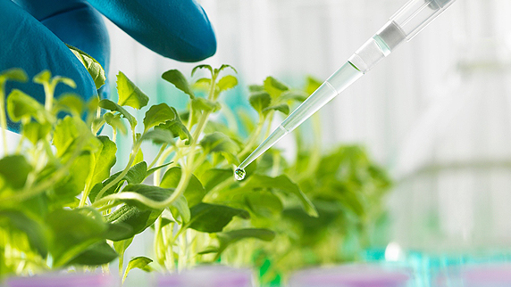 聯系我們